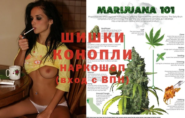 индика Волосово