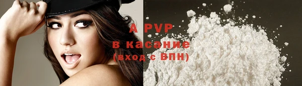 индика Волосово