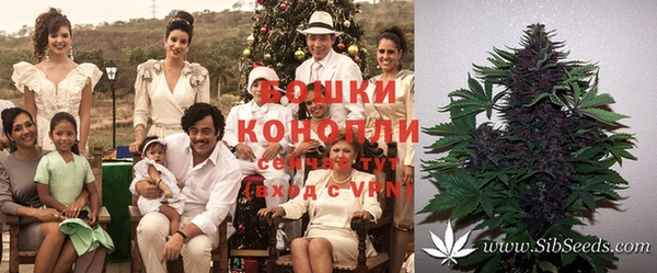 дурь Волоколамск