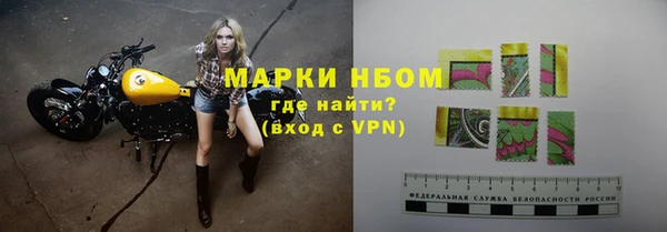 индика Волосово