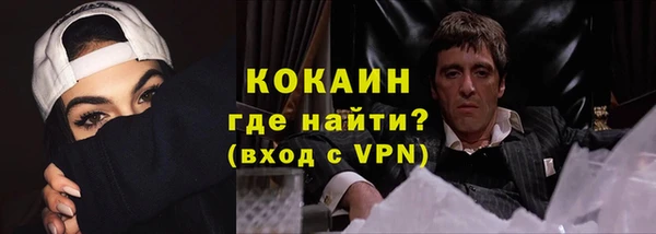 индика Волосово