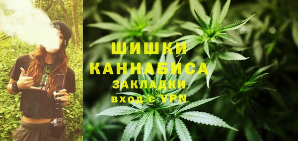 индика Волосово