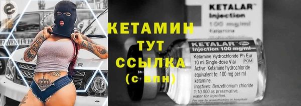 индика Волосово