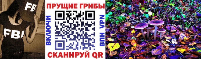 darknet клад  Липки  Галлюциногенные грибы Magic Shrooms  omg ссылка 